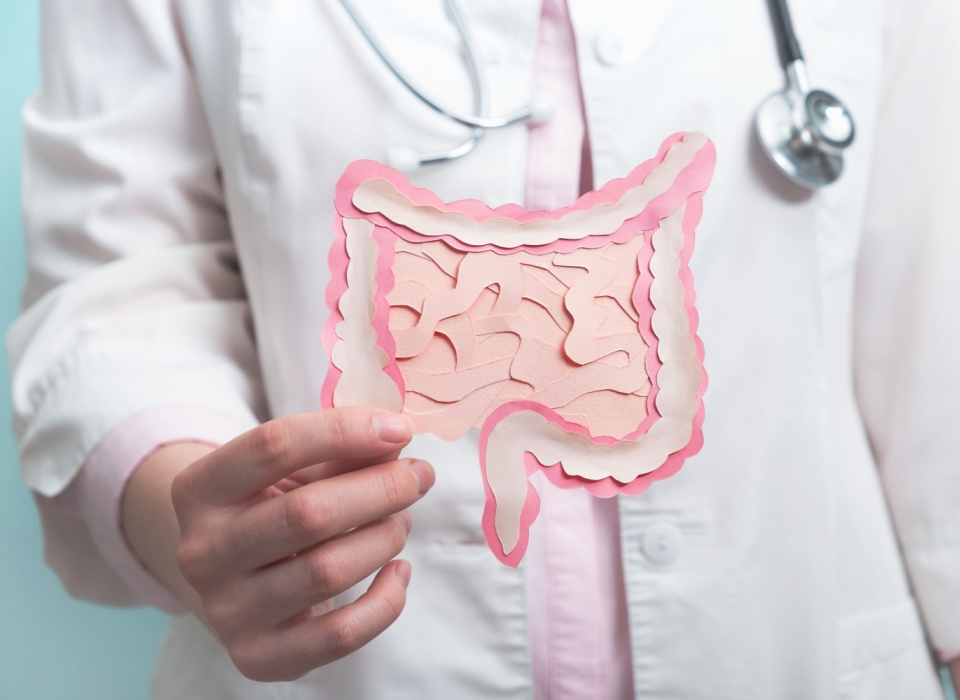 L-Glutamine – Intestinal Repair and Integrity