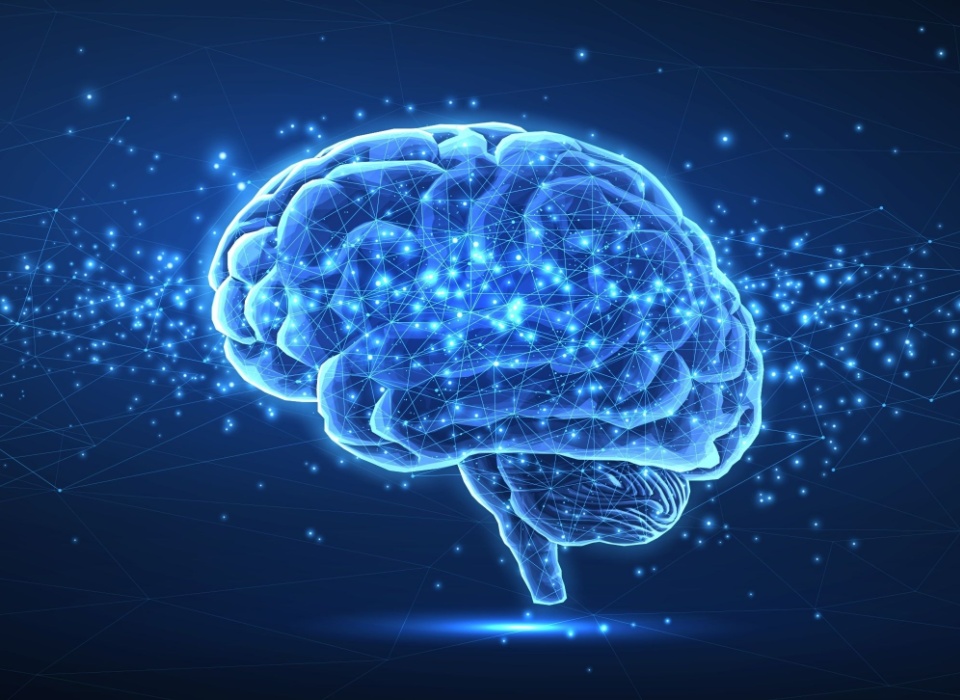 Acetyl-L-Carnitine 
