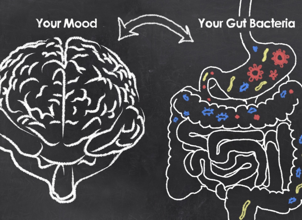 Zinc – Gut Barrier and Immune Support