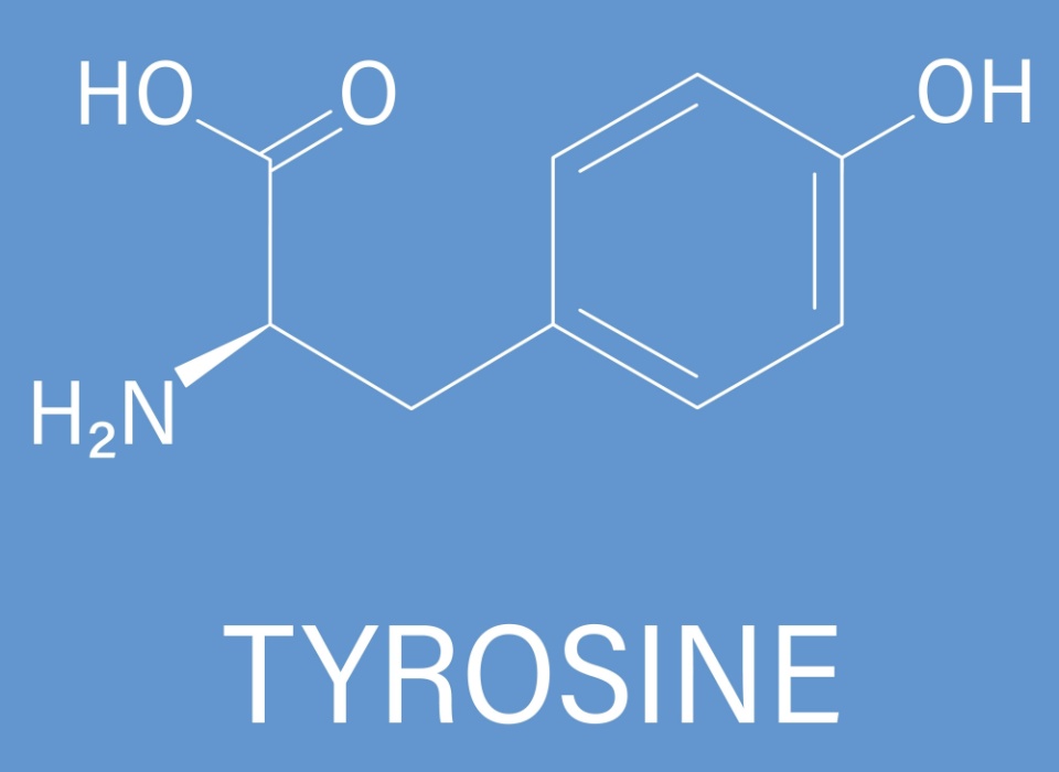 L-Tyrosine