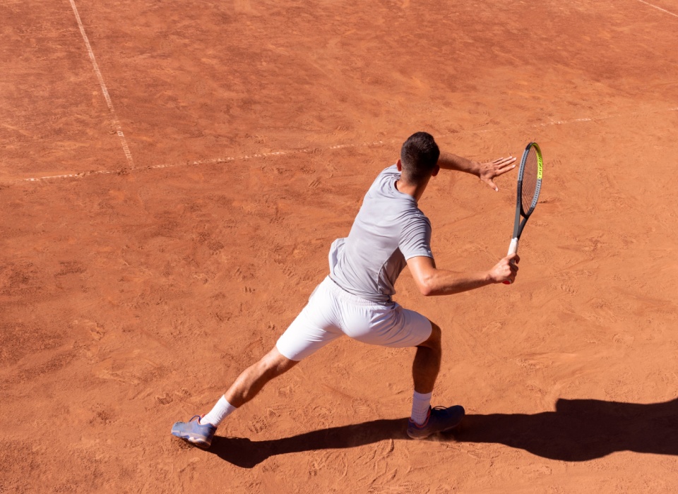 Anti-inflammatory and Antioxidant Support