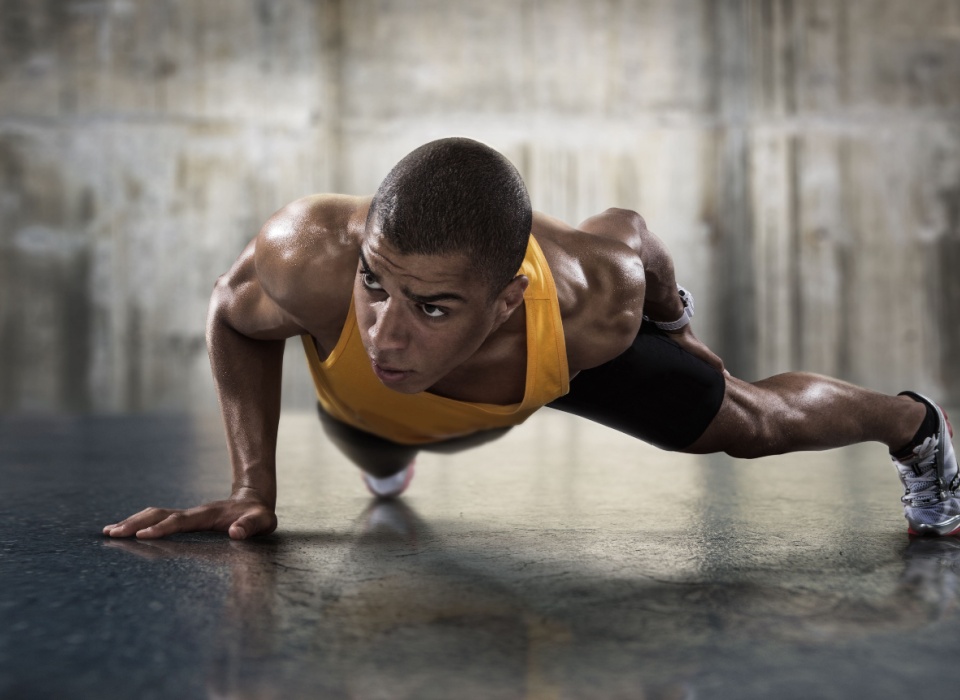 Muscular Repair, Development, and Maintenance