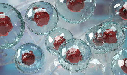 cell image for sci or education concept 3d rendering