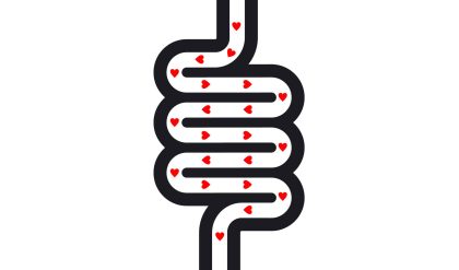 Intestine,And,Good,Bacteria,Love